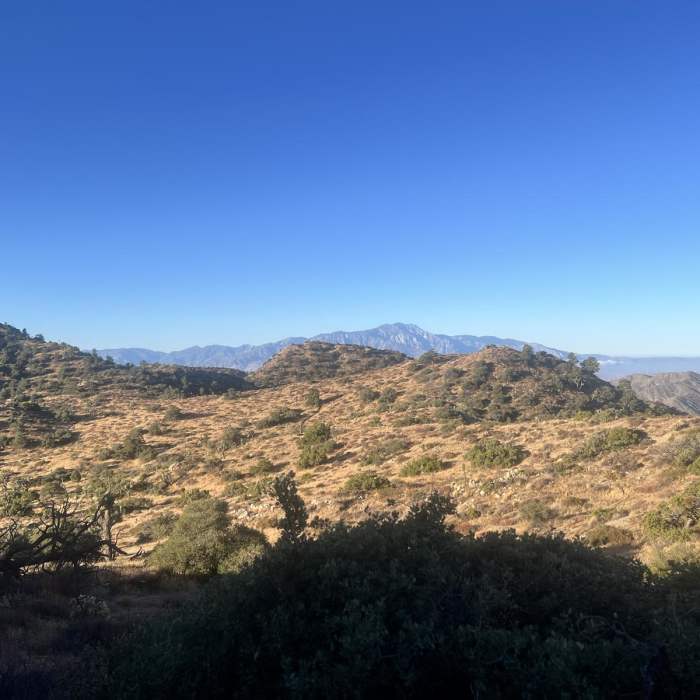 Near Warren Peak (Warren Point) via Black Rock Canyon