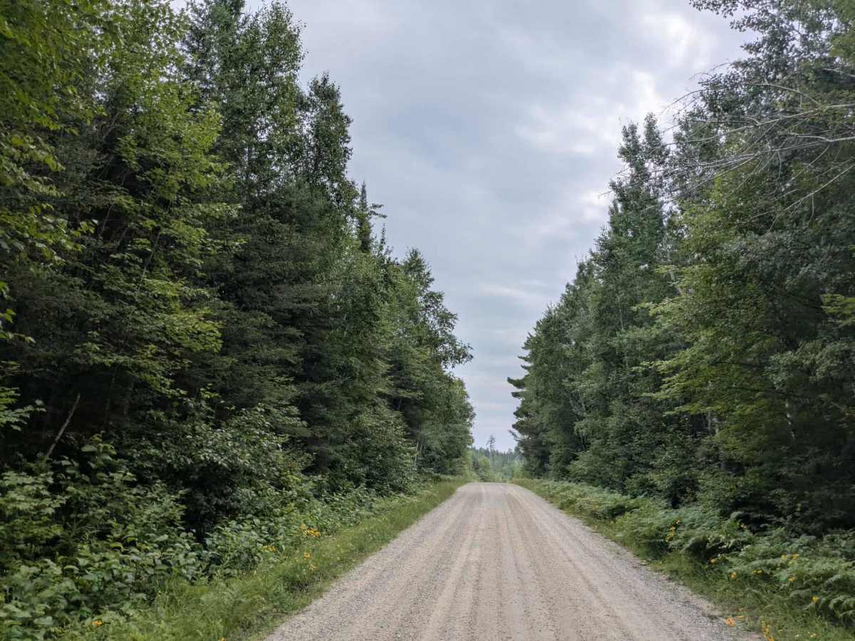 Elephant Lake trail photo