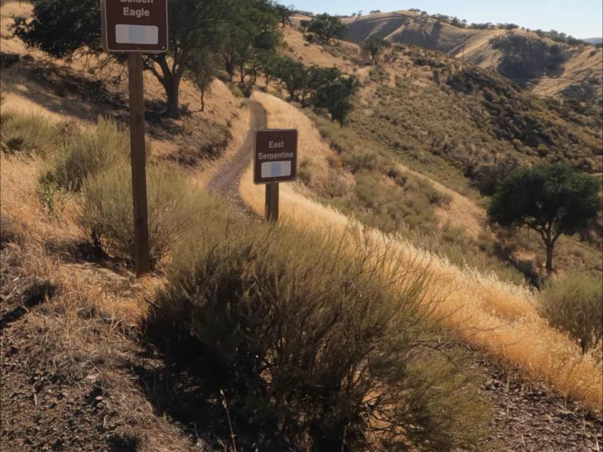 East Serpentine Trail  photo 3