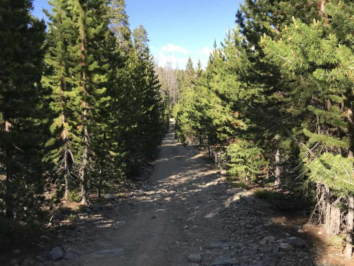 Killpecker Road photo 5