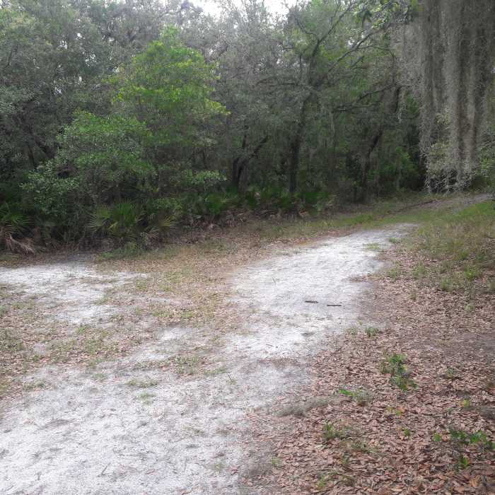 Near Red Loop