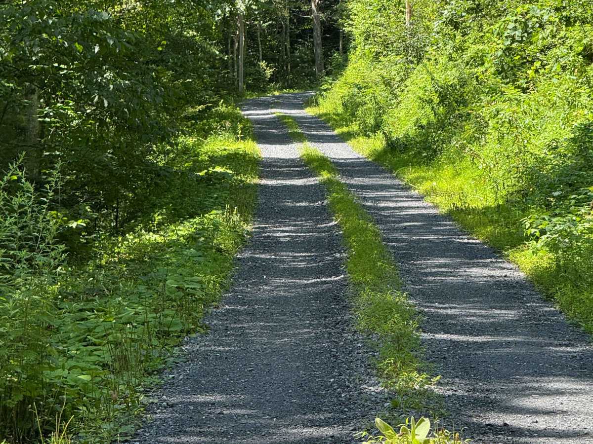 Schoolhouse Road photo 6