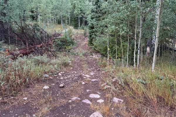 Meredith Trail