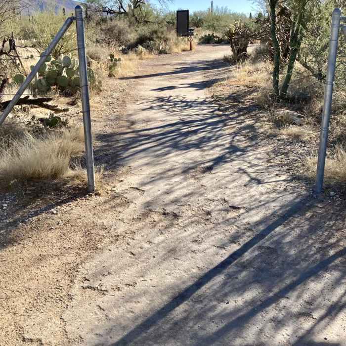 Near Shantz and Mica View Loop