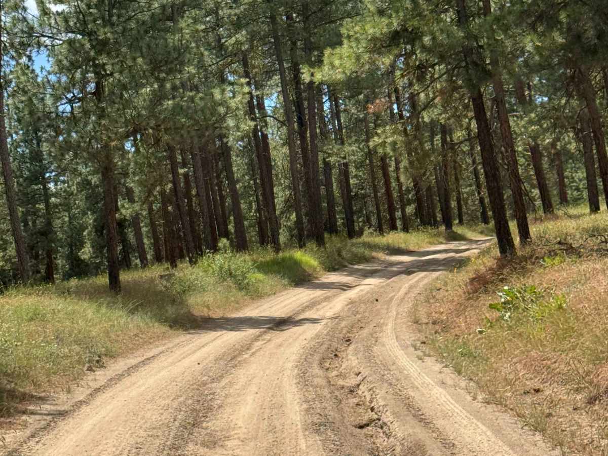 Milk Canyon Road photo 3