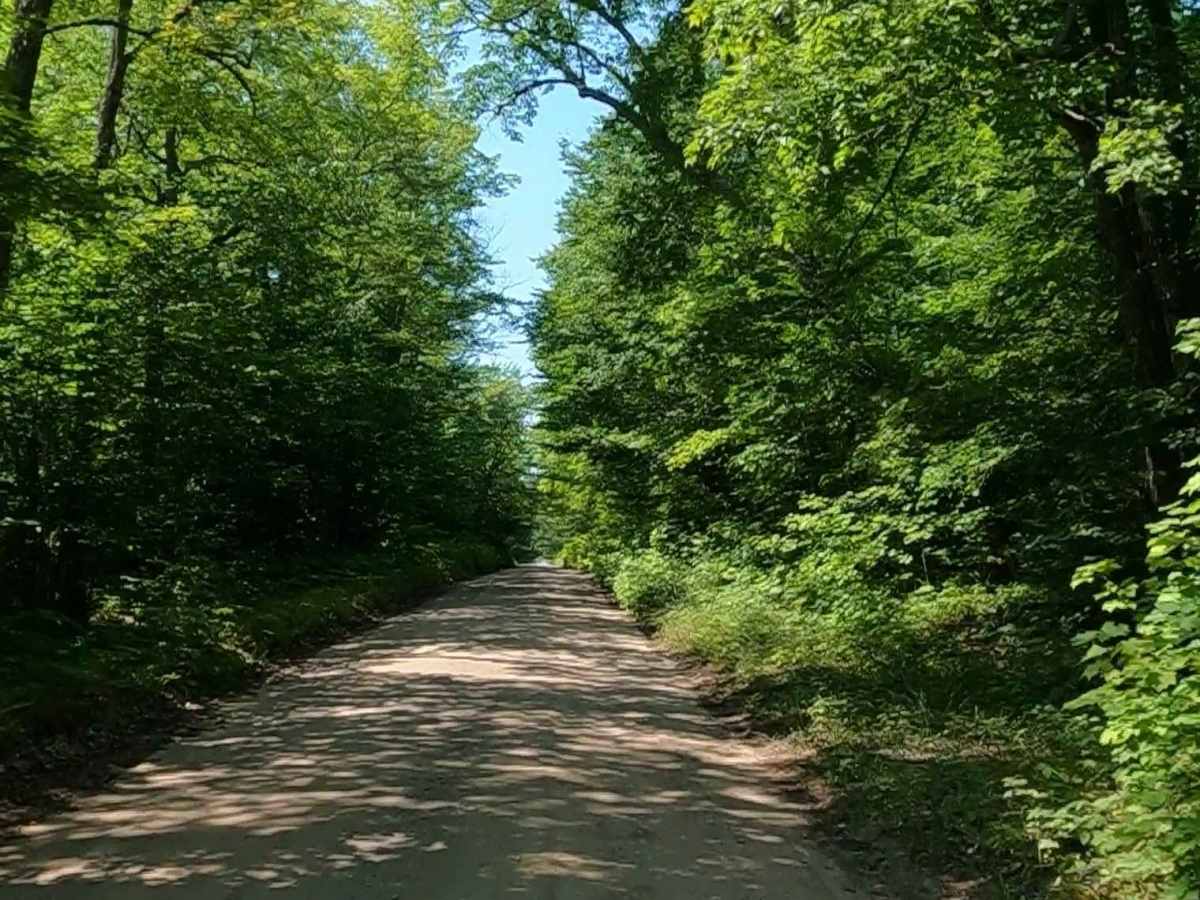 Pohlman Drive trail photo