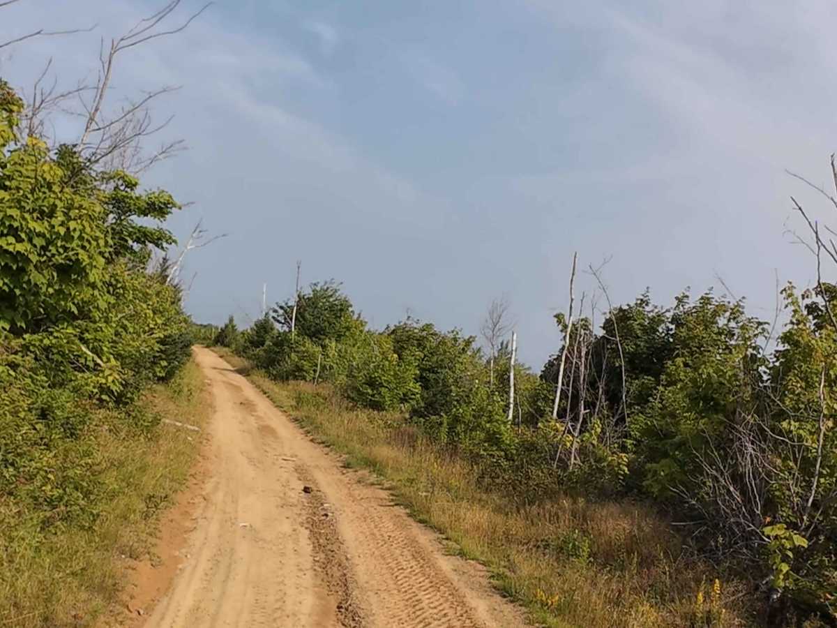 Hardscrabble Clear Cut trail photo