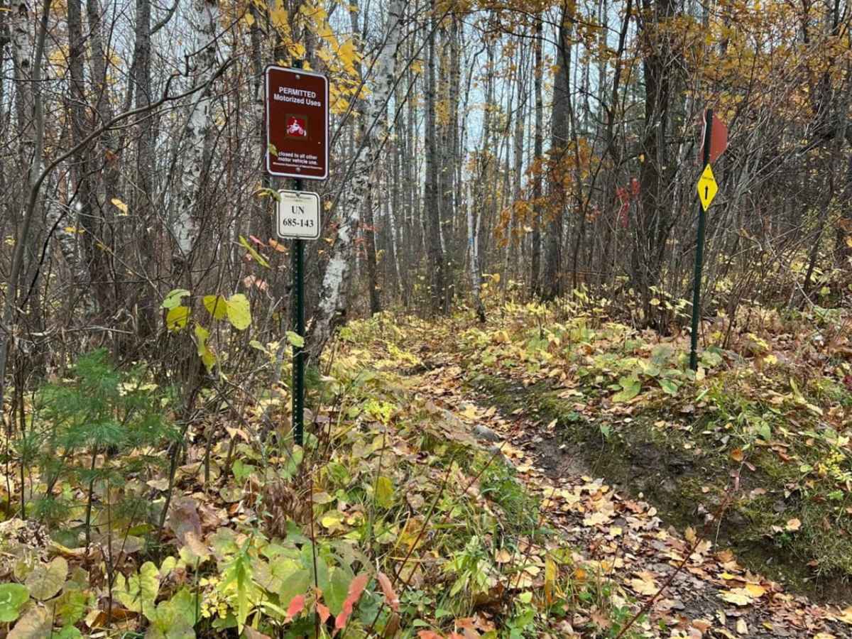 Paul Bunyan Southern Single Track Bypass photo 6