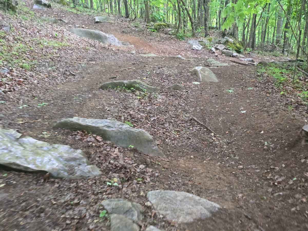 Trail 1B photo 5