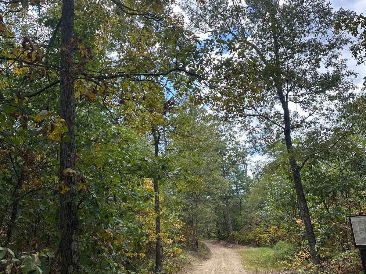 Raccoon Ridge  photo 2