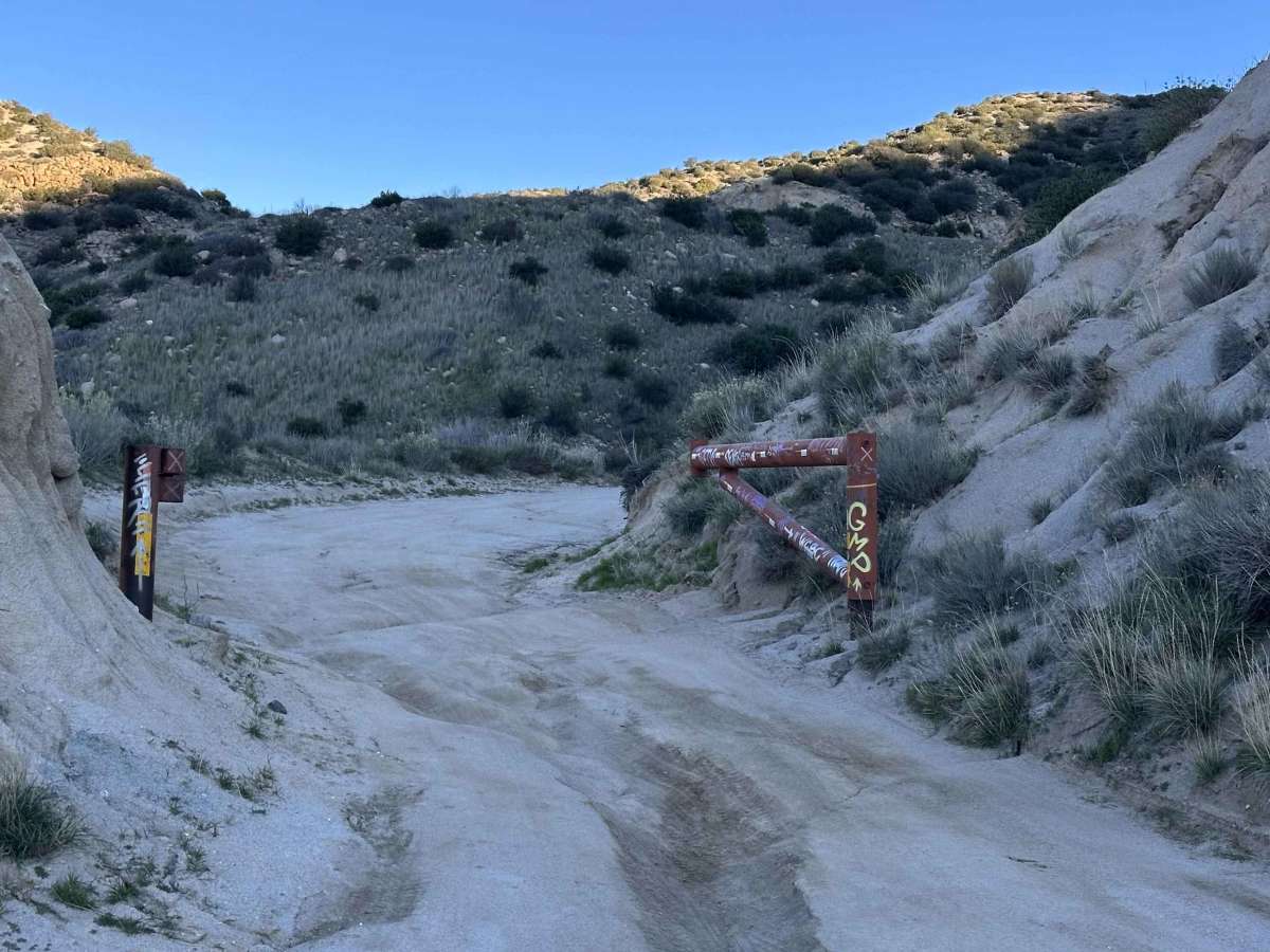Upper Cleghorn Ridge trail photo