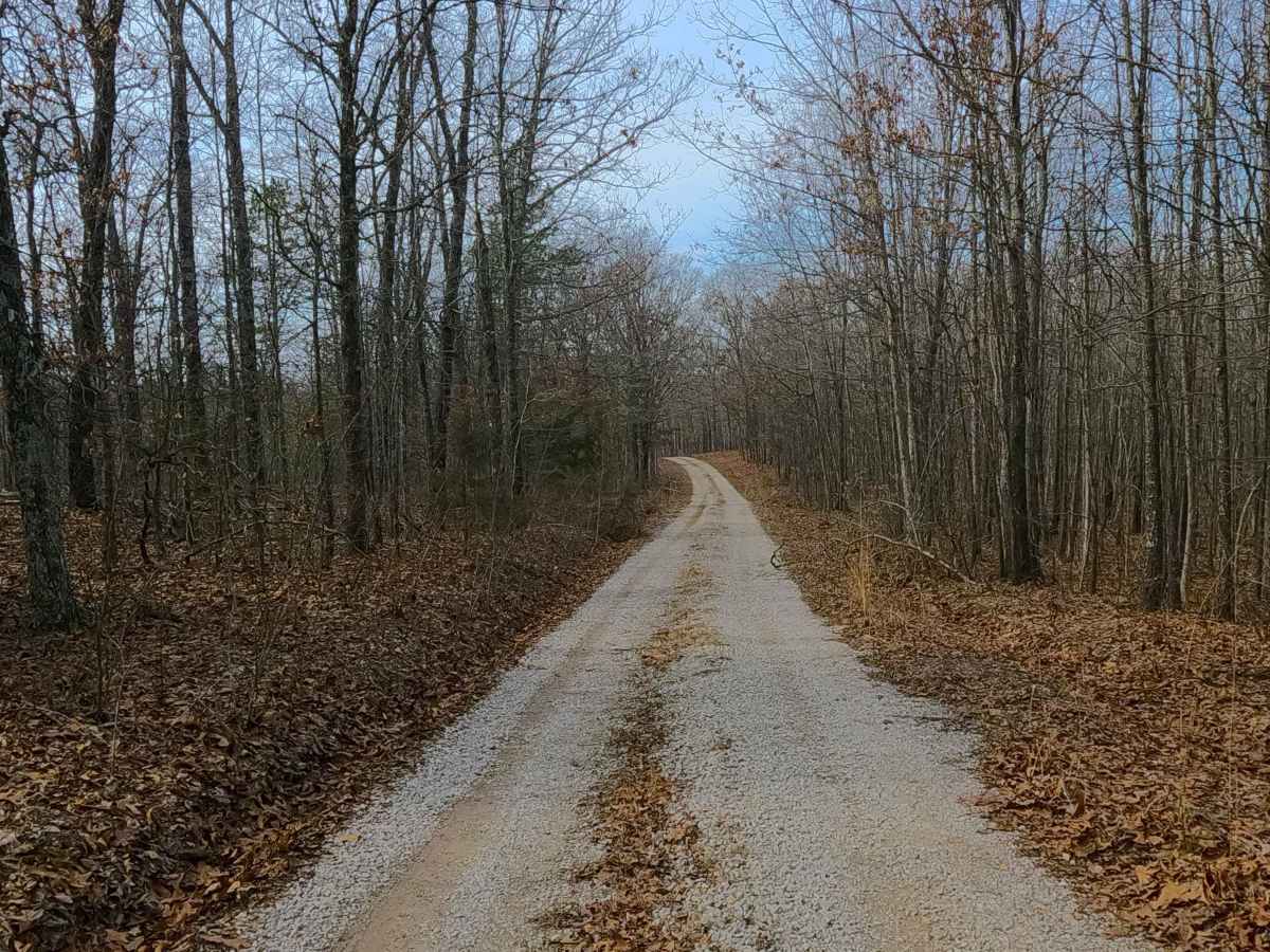 Perkins Ridge - FS 423 photo 3