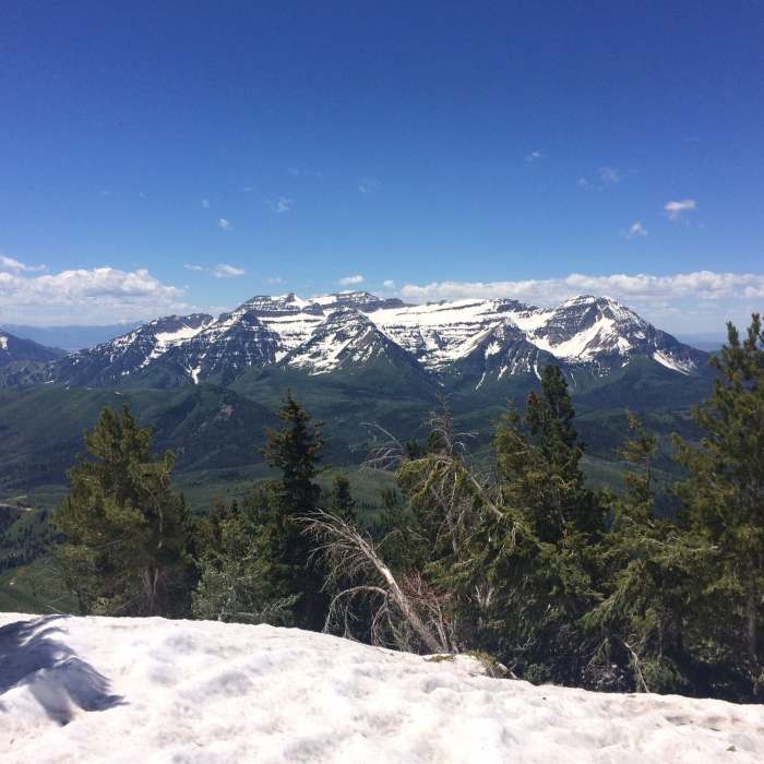 Near Box Elder Summit from South Saddle