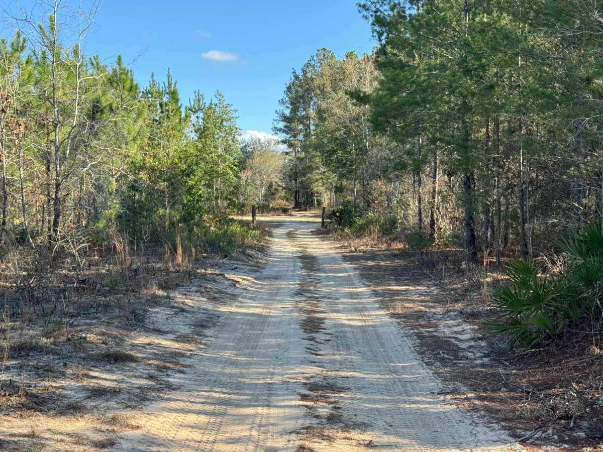 Doe Road photo 3