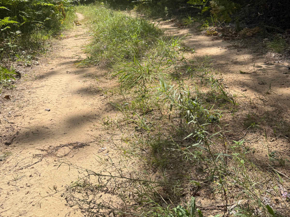 Deer Trail photo 6