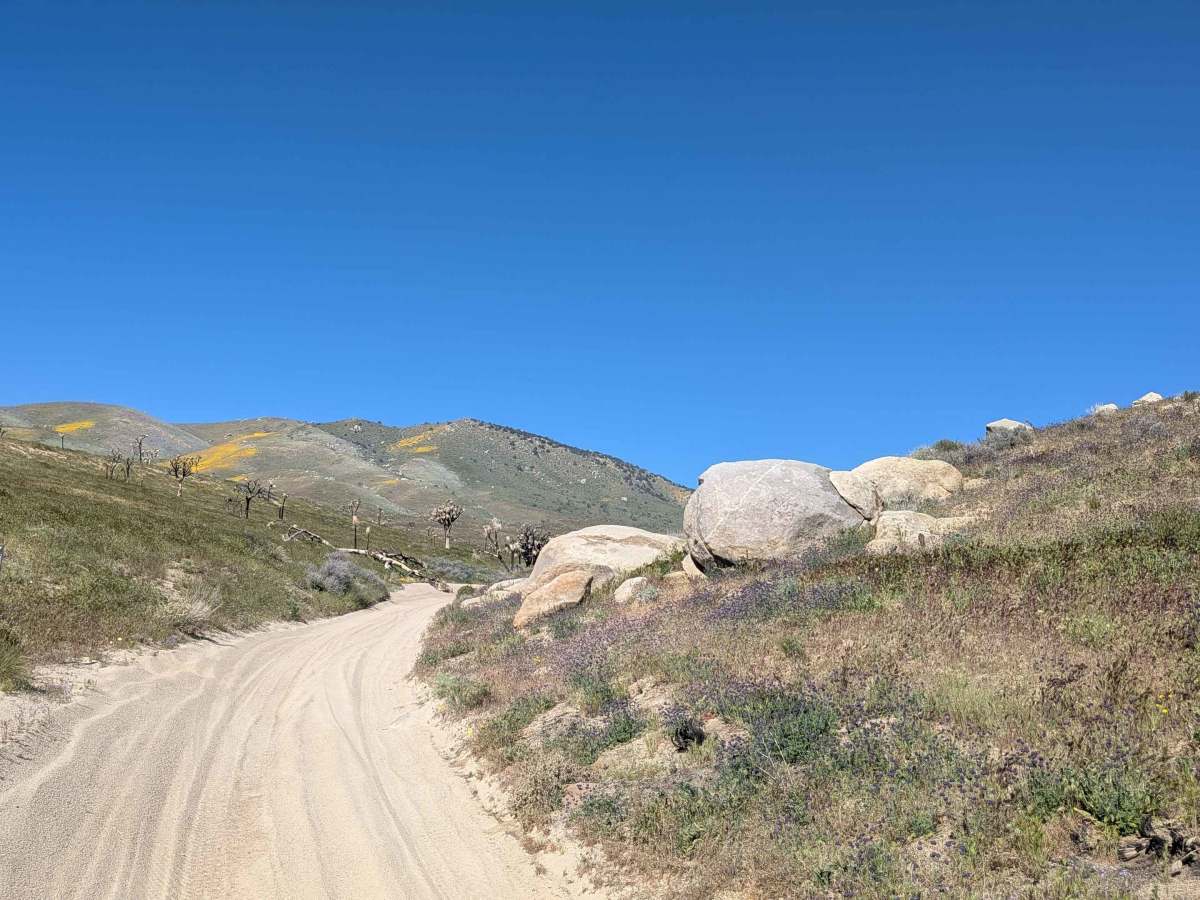 Dove Springs Canyon trail photo
