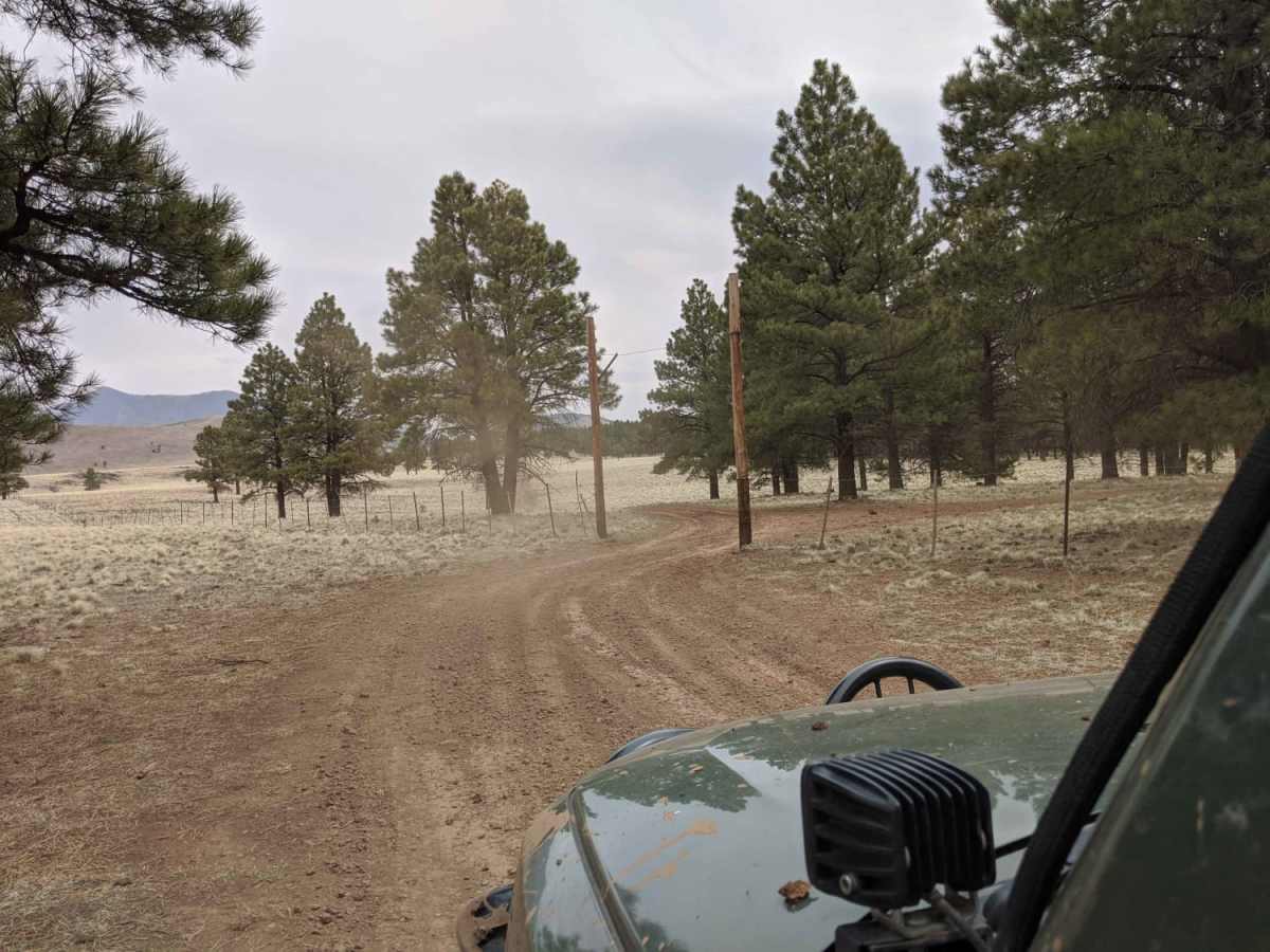 Blue Tree Road photo 3