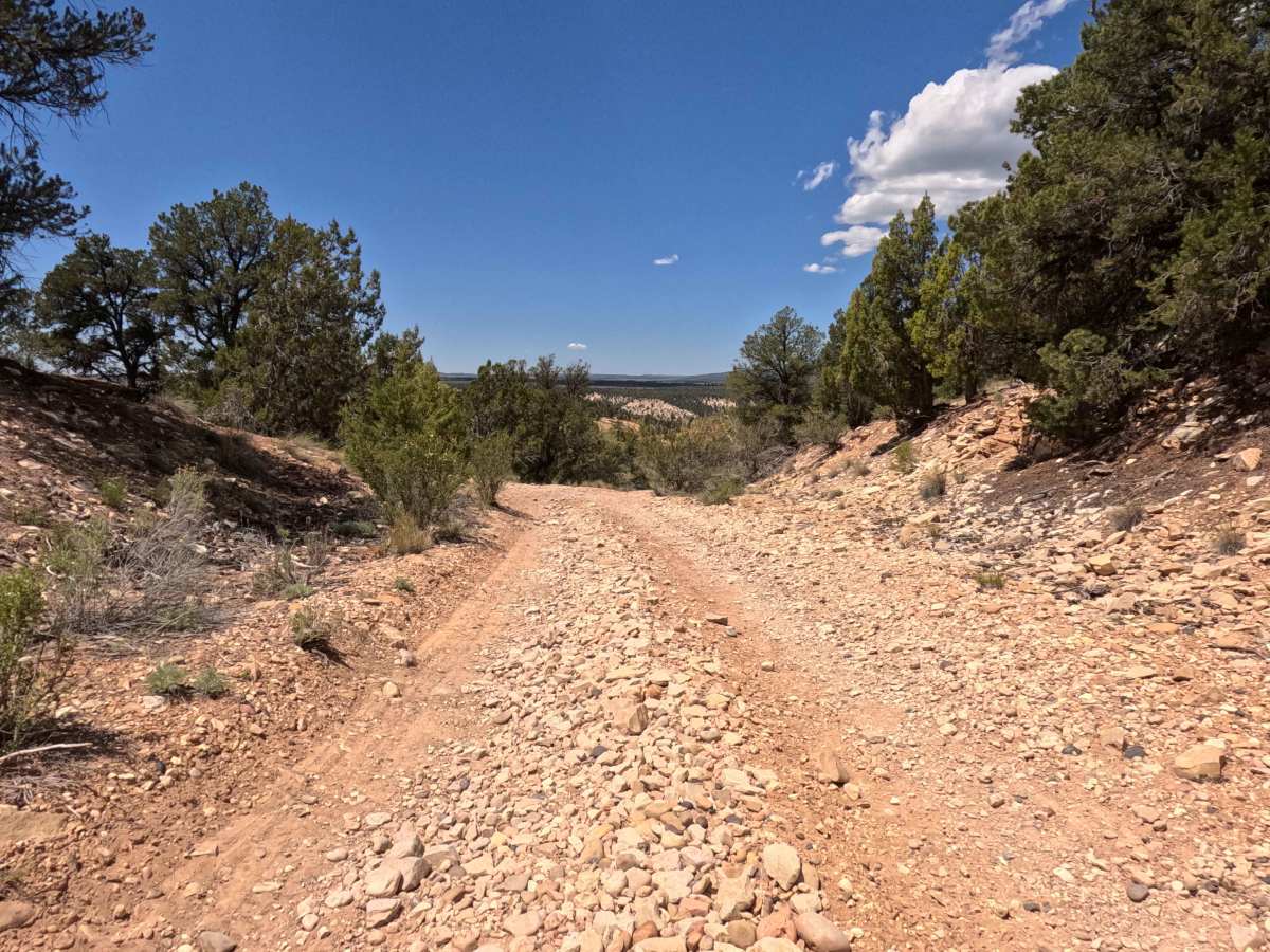 BLM 109G trail photo