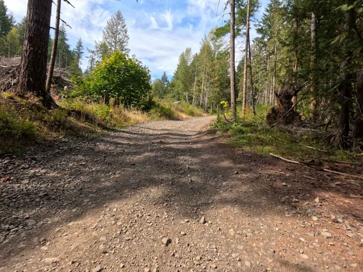 Carson Creek Road photo 4