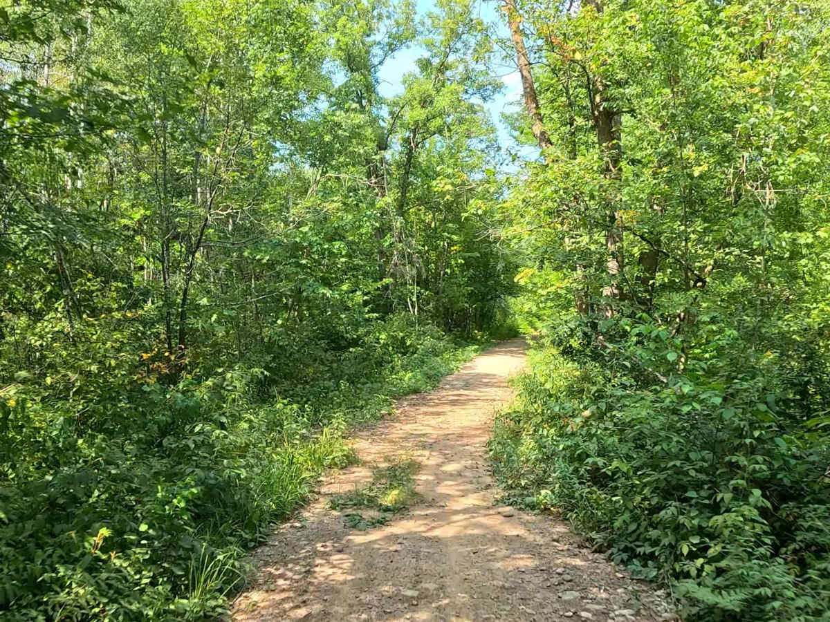 AlanDale Stem Trail photo 5