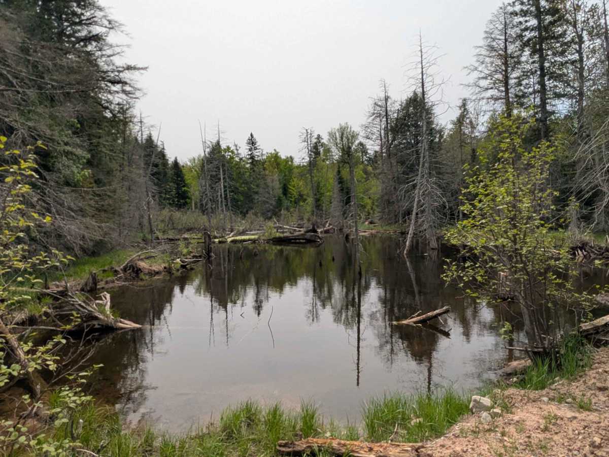 Northwestern Trail photo 3