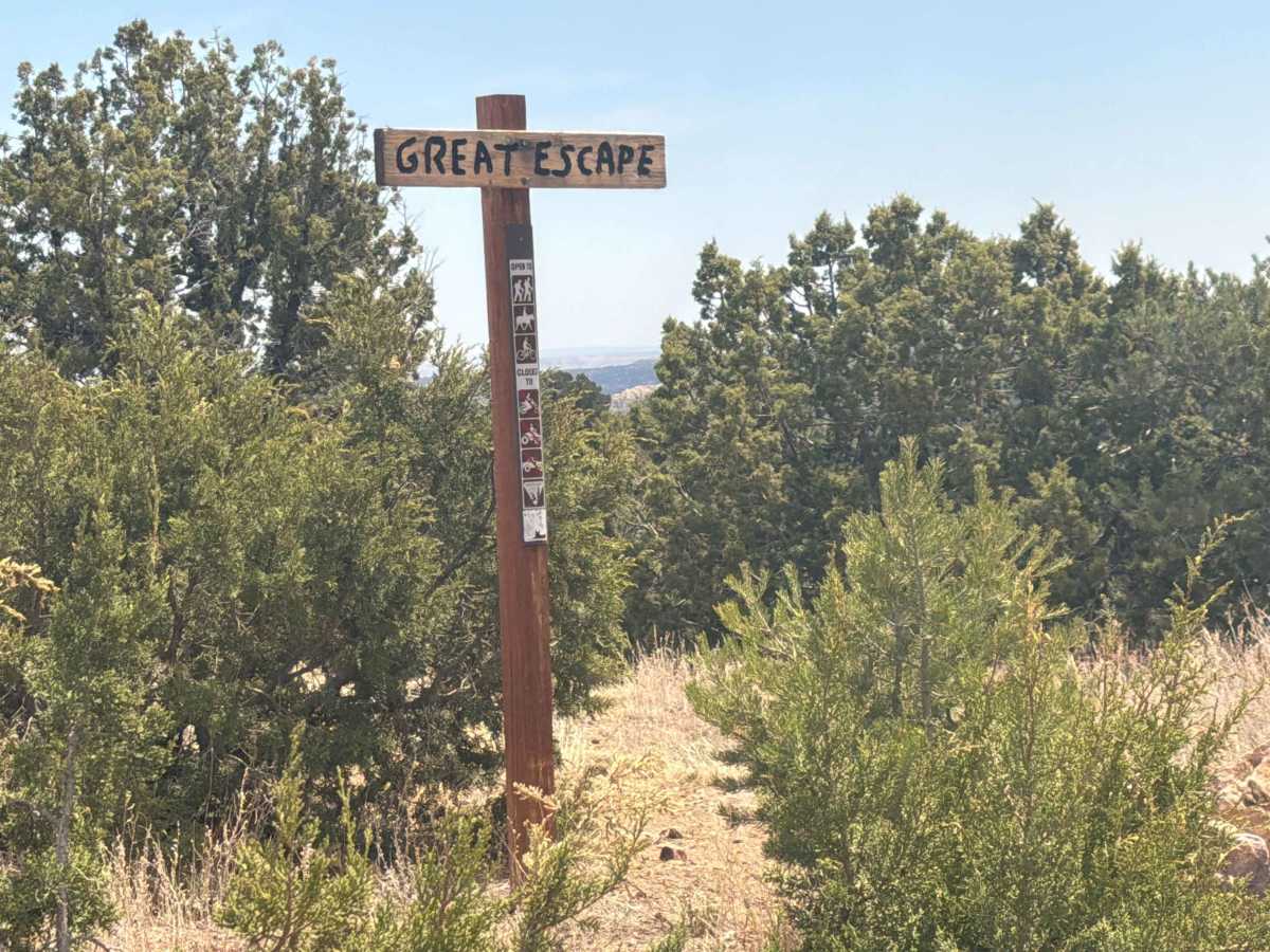 BLM 6182 photo 5