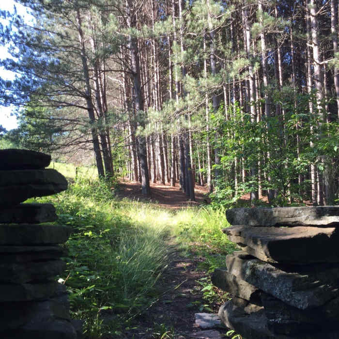 Near Bullet Hole Spur Trail