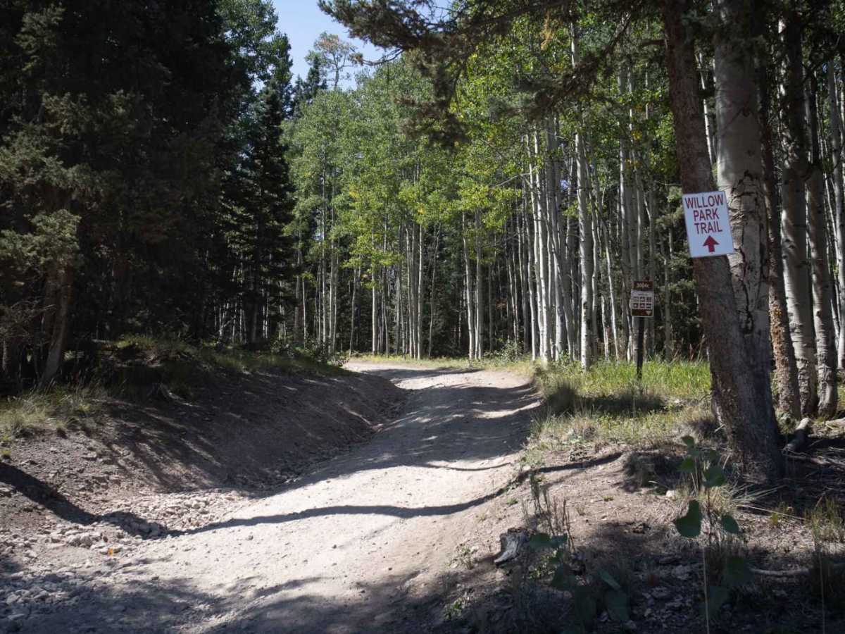 Alpine Plateau Road photo 6