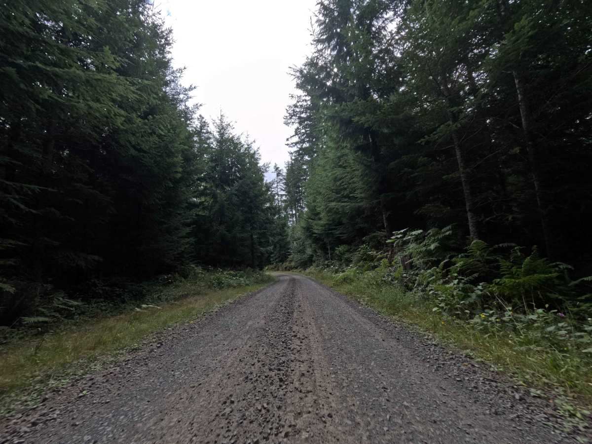 Camp Nine Road photo 4