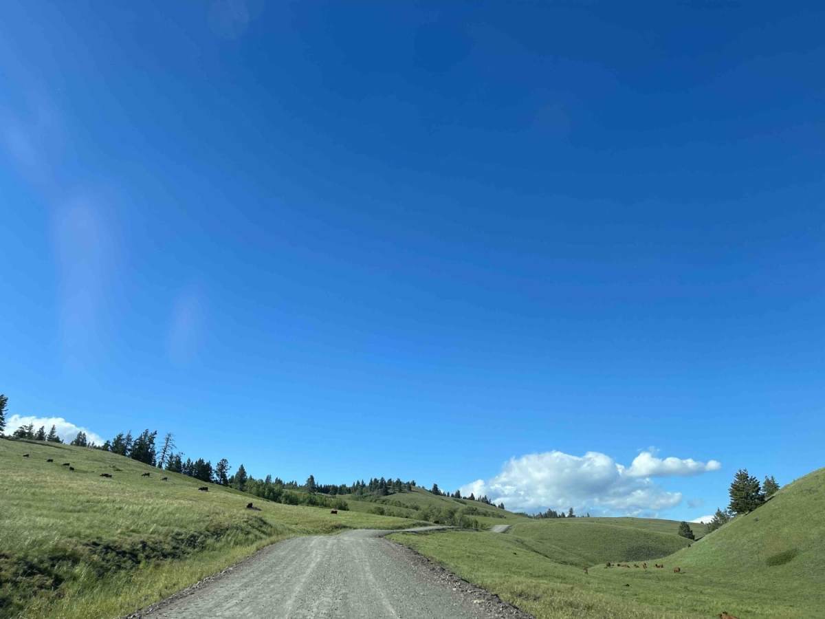 Lindbom Lake Road photo 5