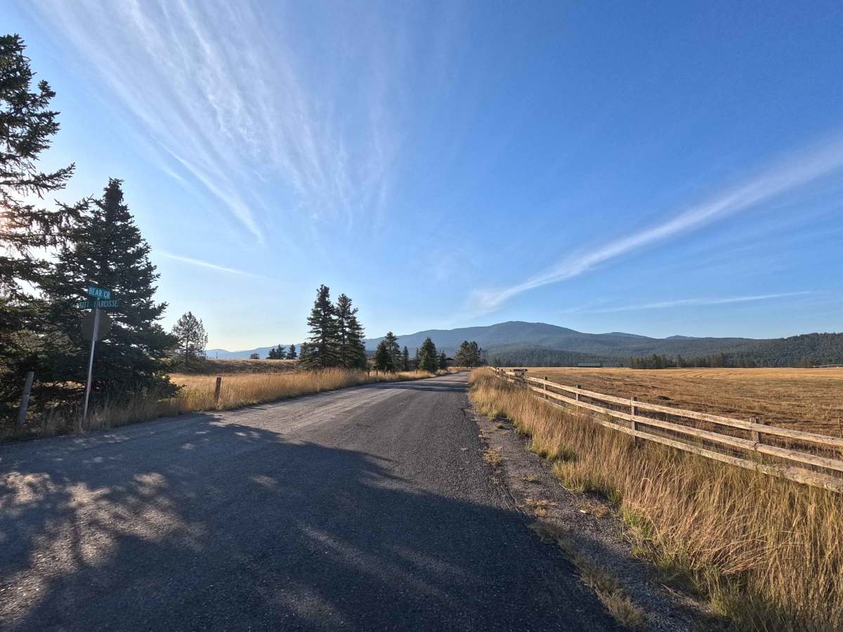 Bear Creek Road trail photo