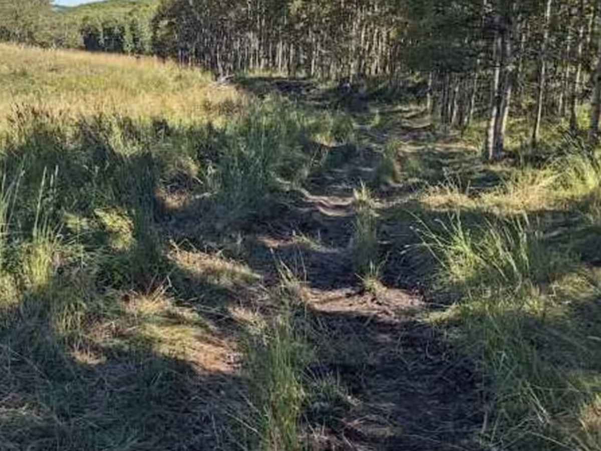 Porcupine Hills Trail 46 photo 6