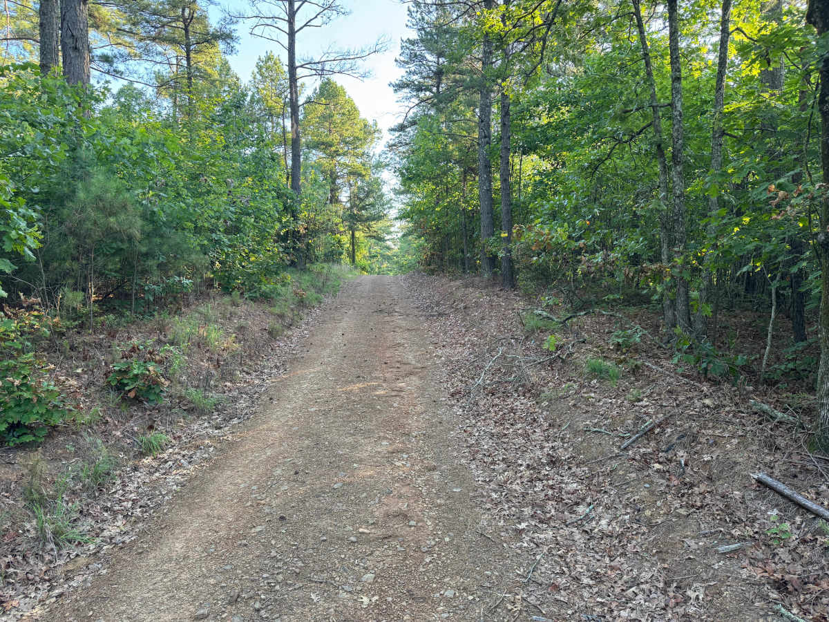 Little Bee Ridge photo 2