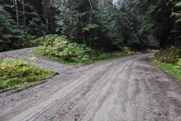 North Fork Stilly Road