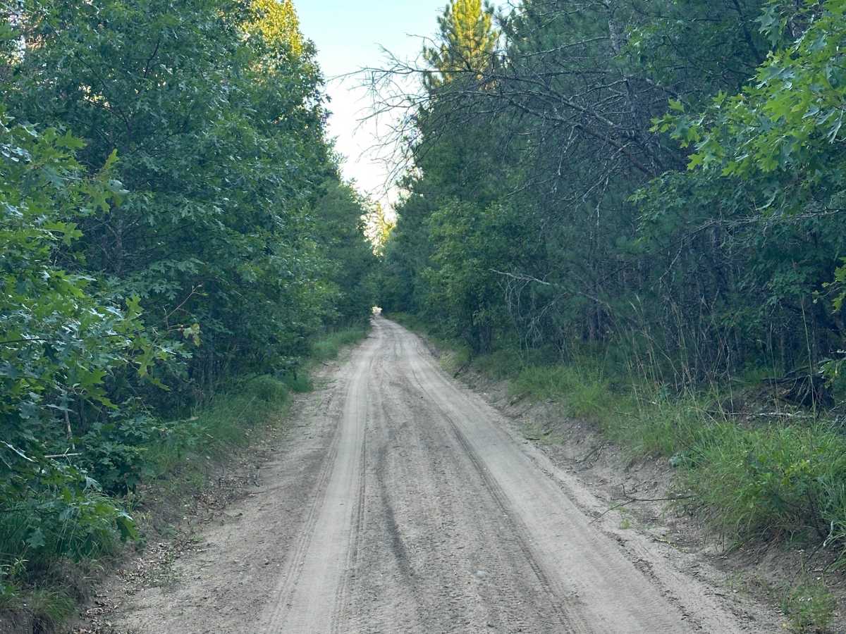 Dorr Road photo 4