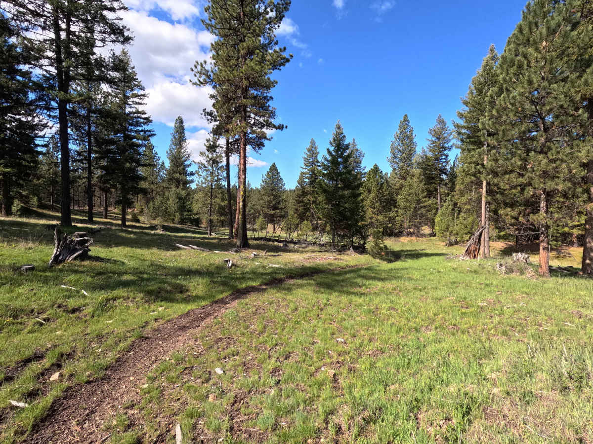 Trail 56 photo 5