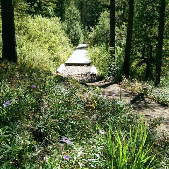 Near North Tenmile Creek