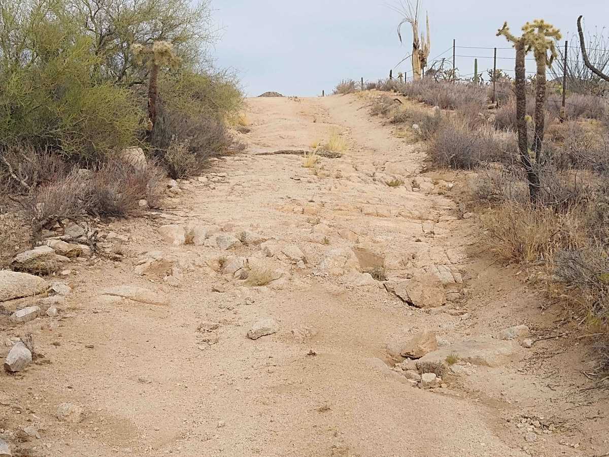 96 Hills Trail photo 2