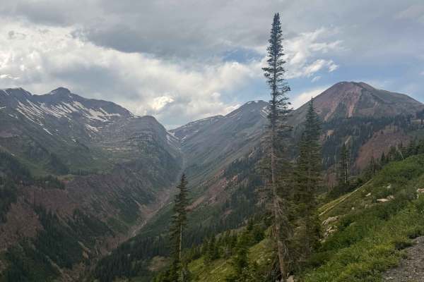 Paradise Divide