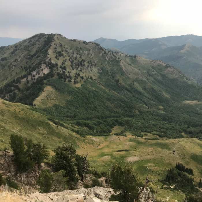 Near Mount Raymond Summit Trail