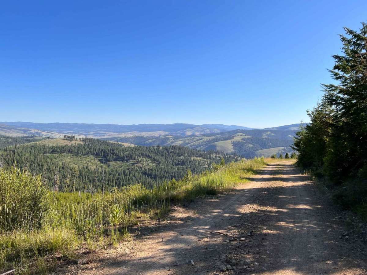 Waugh Gulch photo 2