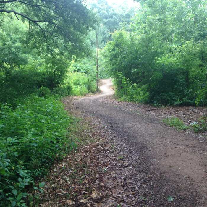 Near Shelby Rail Trail