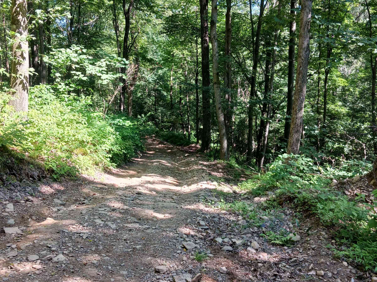 Trail 14D - Rock Run Recreation Area trail photo