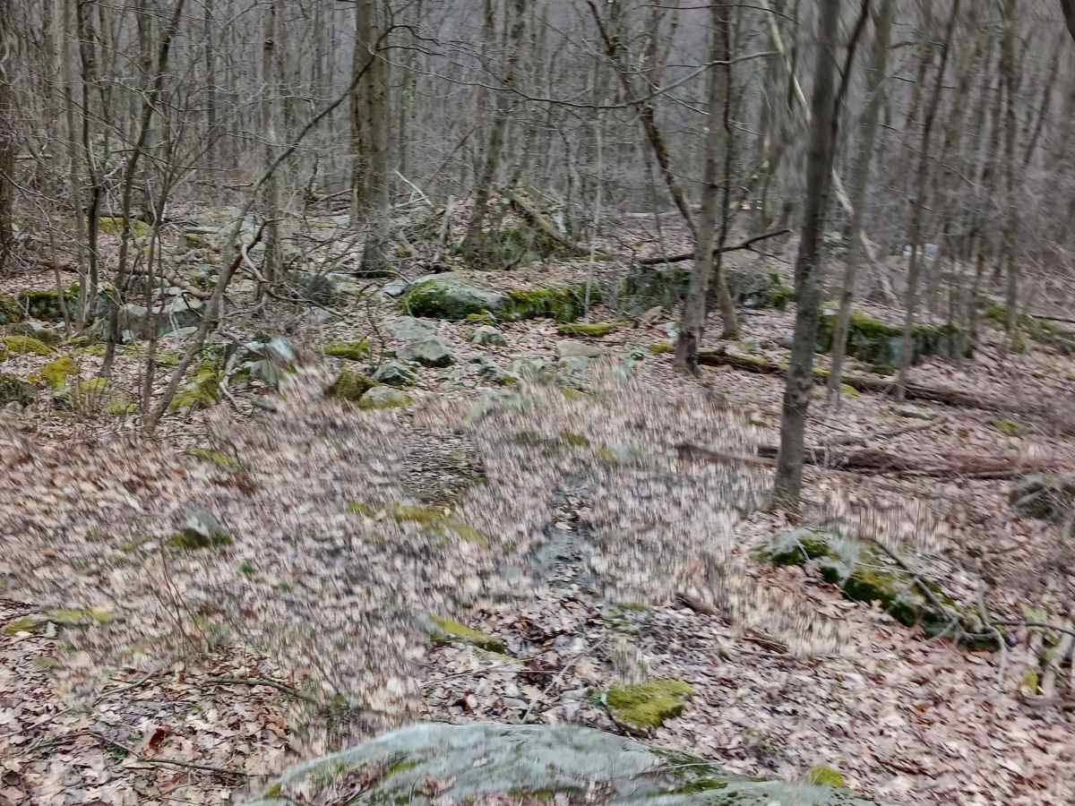 OHV 62 - Rock Run Recreation Area photo 3