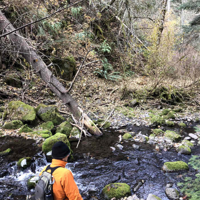 Near Buck Creek Trail #3073