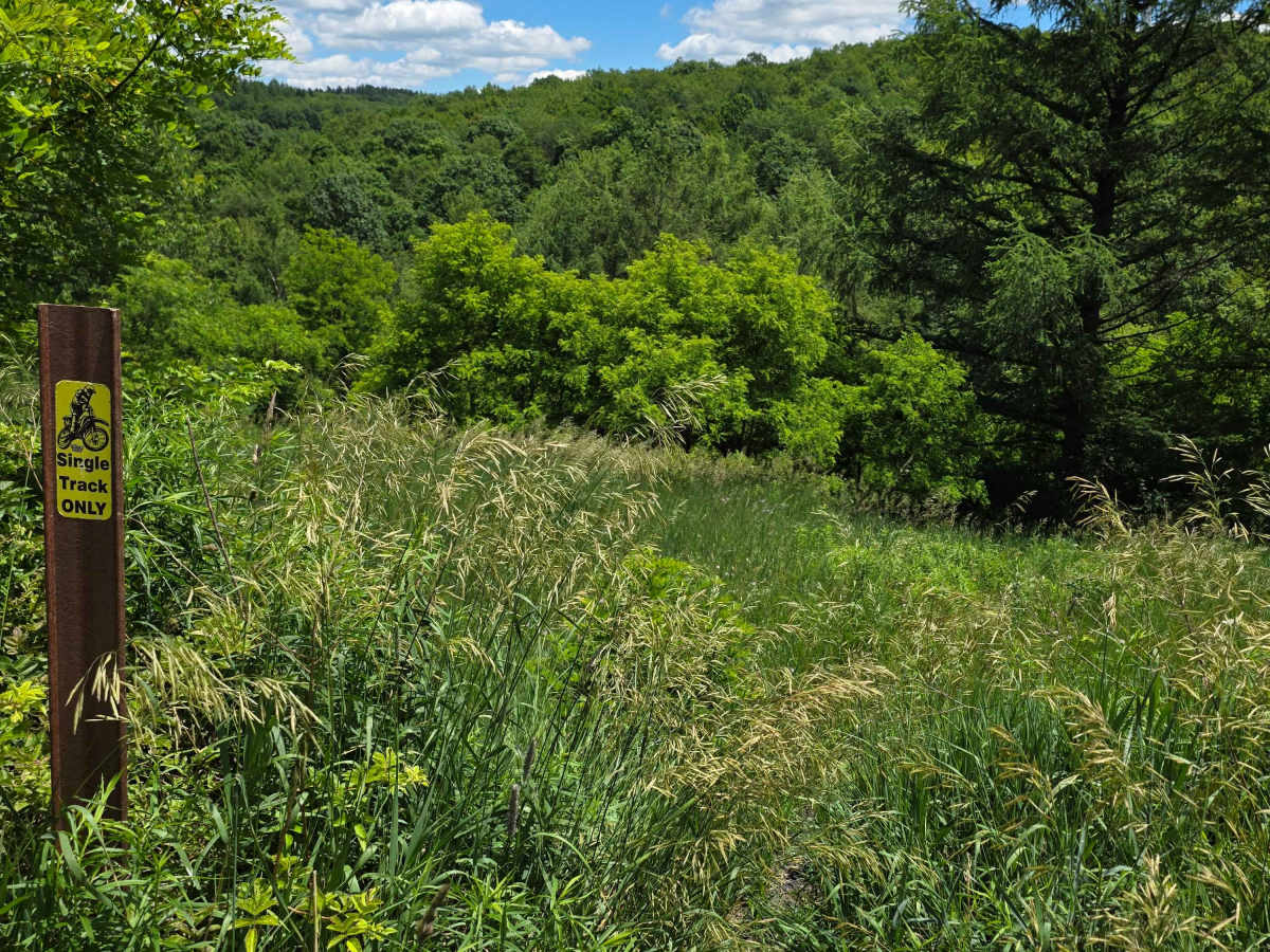 Single Track AD photo 2