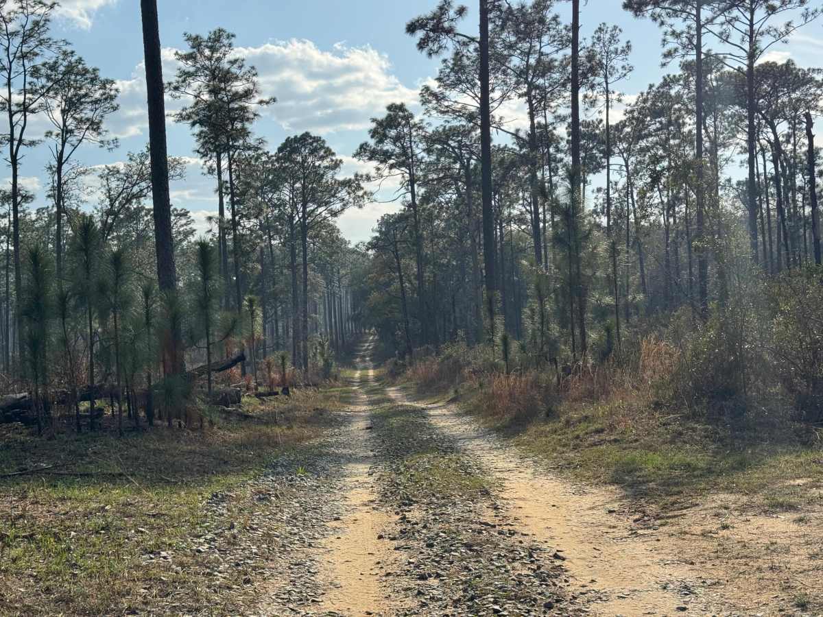 Star Pond Trail photo 4