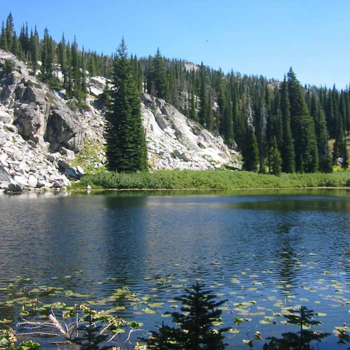 Near North Fork Kennally Creek