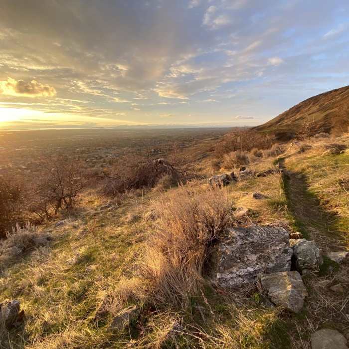 Near Bonneville Shoreline Trail