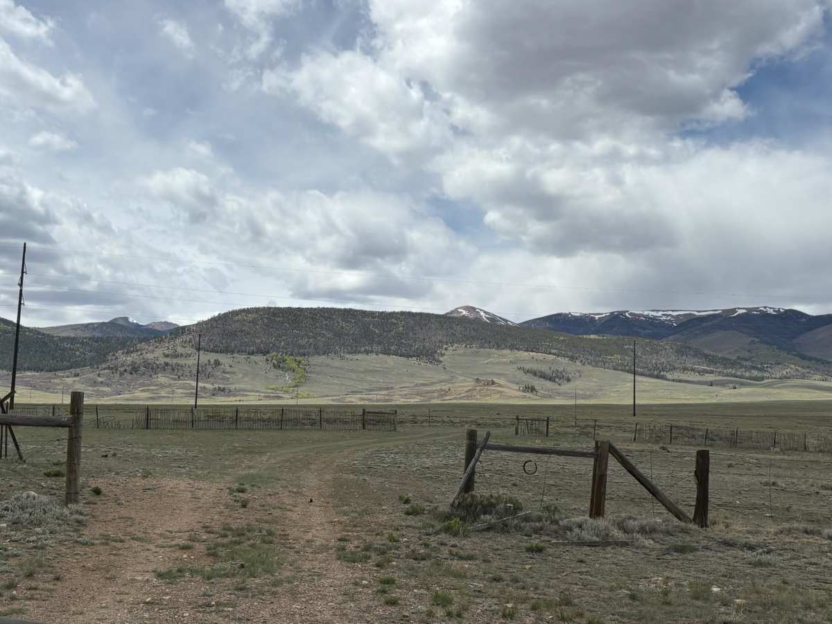 Turquoise Road photo 6